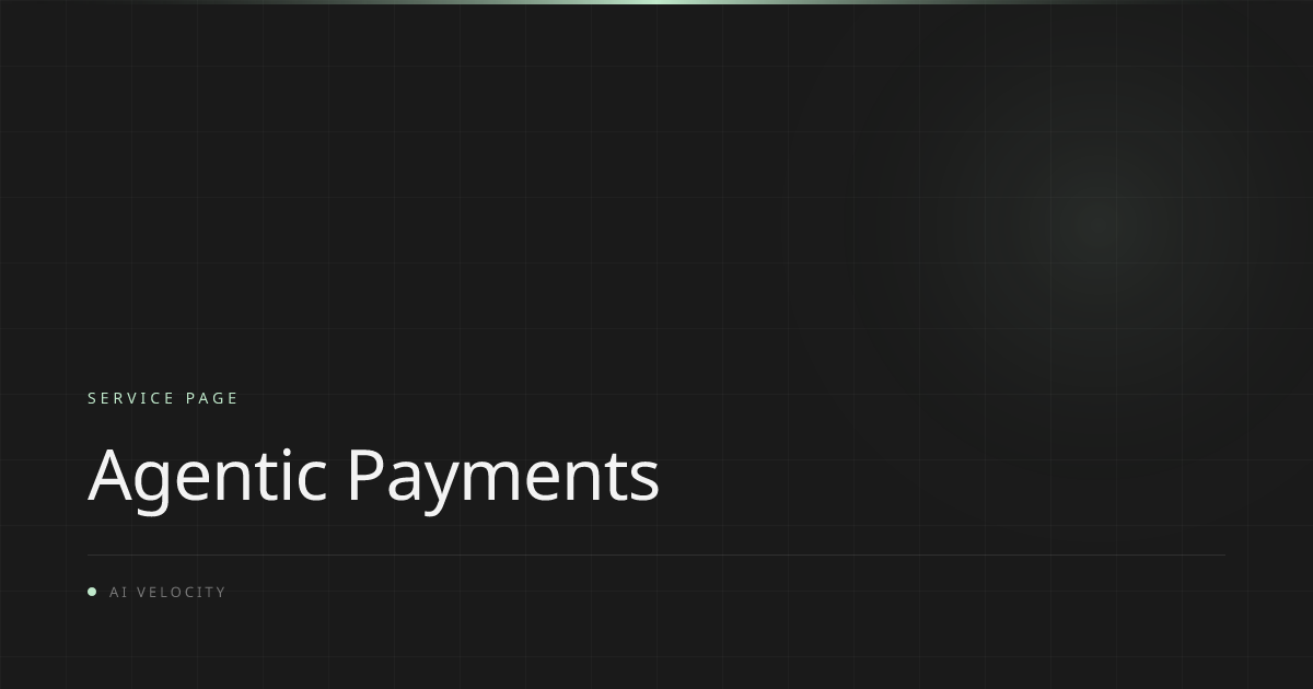 Agentic Payments | Autonomous Settlement Infrastructure | AI Velocity